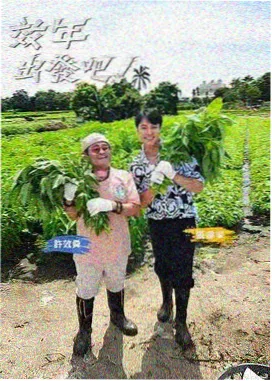 题材图鉴扩充公告配图